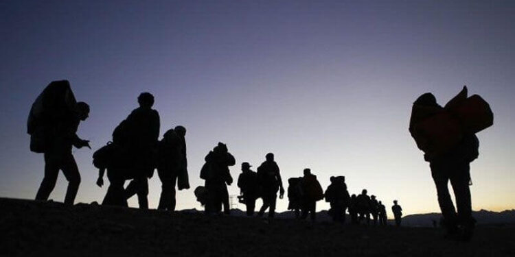 Día Internacional del Migrante, 18 de diciembre