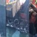 Barco sardinero mata a más de 100 pelícanos en Sonora