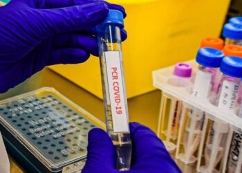 La OMS comenta la nueva variante de covid-19 detectada en el Reino Unido