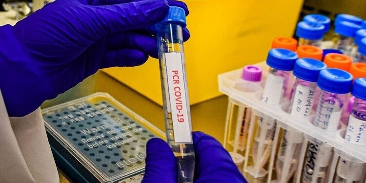 La OMS comenta la nueva variante de covid-19 detectada en el Reino Unido