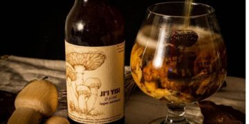 Lanzan primera cerveza mexicana con hongo matsutake de Oaxaca