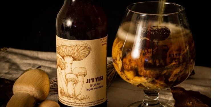 Lanzan primera cerveza mexicana con hongo matsutake de Oaxaca