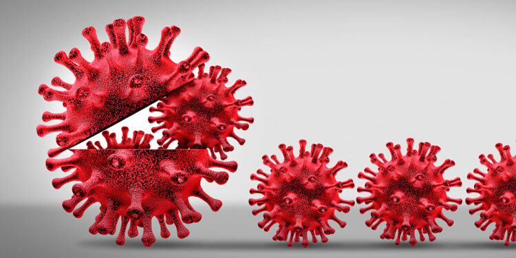 Casos de coronavirus en México del 8 de diciembre