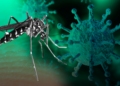 Suman 5 mil 341 casos y 20 muertes por dengue en Jalisco