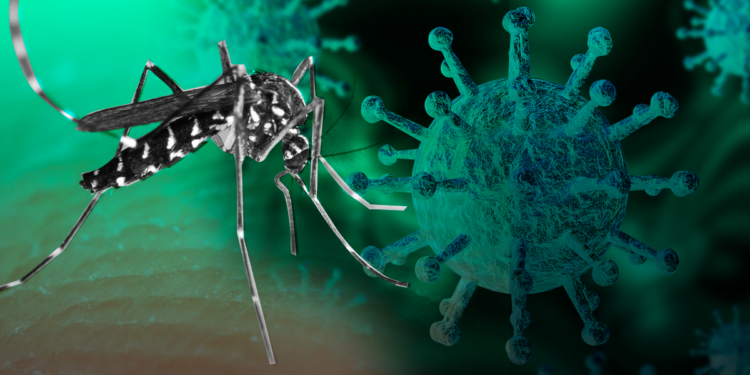 Suman 5 mil 341 casos y 20 muertes por dengue en Jalisco