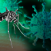 Suman 5 mil 341 casos y 20 muertes por dengue en Jalisco