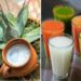 El pulque; bebida de tiempos prehispánicos