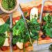 La dieta Hallelujah te ayudará a perder peso combatiendo la enfermedad