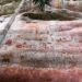 Hallan pinturas rupestres de la era de hielo en la selva del Amazonas