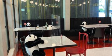 Restaurante tailandés usa pandas de peluche contra la soledad y para asegurar  distancia social