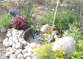 Nuevos espacios hacen más sustentable y estético el parque de Morales