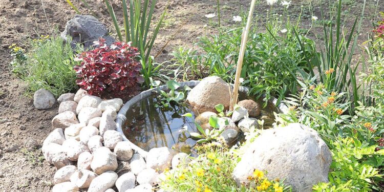 Nuevos espacios hacen más sustentable y estético el parque de Morales