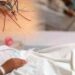 Descubren estructura de proteína del chikungunya