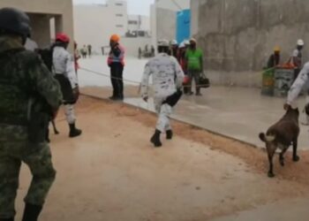Albañiles fueron a pedir trabajo y desaparecieron en hotel de QRoo