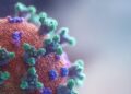 Las mutaciones del coronavirus en Sudáfrica y Reino Unido no están relacionadas: OMS