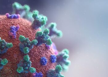 Las mutaciones del coronavirus en Sudáfrica y Reino Unido no están relacionadas: OMS