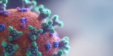 Las mutaciones del coronavirus en Sudáfrica y Reino Unido no están relacionadas: OMS