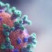 Las mutaciones del coronavirus en Sudáfrica y Reino Unido no están relacionadas: OMS