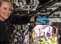 Cultivan rábanos en la Estación Espacial Internacional