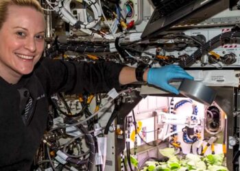 Cultivan rábanos en la Estación Espacial Internacional