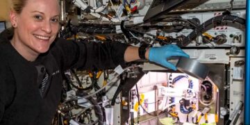 Cultivan rábanos en la Estación Espacial Internacional