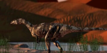 Descubren en Brasil uno de los antepasados más antiguos del T-Rex