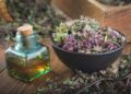 5 hierbas y raíces que ayudan a tus pulmones