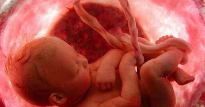 Encuentran microplásticos en placentas de mujeres embarazadas
