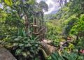 El Jardín Escultórico Edward James, emprende iniciativas en apoyo a la economía local