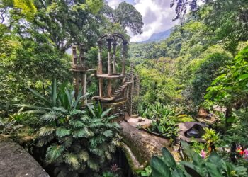 El Jardín Escultórico Edward James, emprende iniciativas en apoyo a la economía local