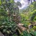 El Jardín Escultórico Edward James, emprende iniciativas en apoyo a la economía local