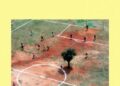 Libros sobre futbol que deberías leer