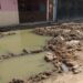 Vecinos de B. Anaya reportan obras incompletas y salida de aguas negras