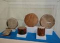 Instrumentos Musicales Tradicionales en el Museo Nacional de la Máscara