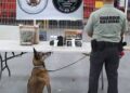 Aseguran en aeropuerto de Querétaro envíos con marihuana y cocaína