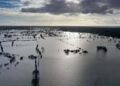 Desastres naturales en 2020 dejaron pérdidas económicas por 268 millones de dólares