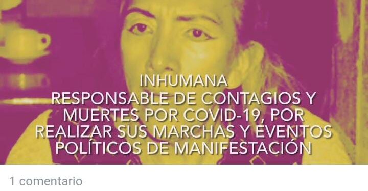 Hay pagina apócrifa de Ciudadanos Observando: Guadalupe González