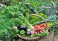 ¿Cuáles son los beneficios del alimento orgánico para la salud y el medioambiente?