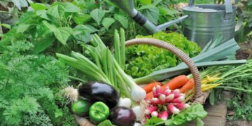 ¿Cuáles son los beneficios del alimento orgánico para la salud y el medioambiente?