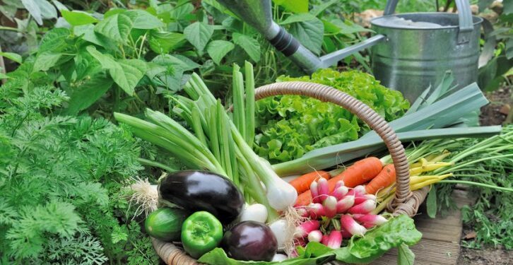 ¿Cuáles son los beneficios del alimento orgánico para la salud y el medioambiente?