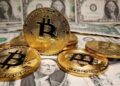 Bitcoin alcanzó máximo histórico de 35 mil dólares