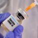 Nueva vacuna contra tuberculosis arroja resultados positivos en monos