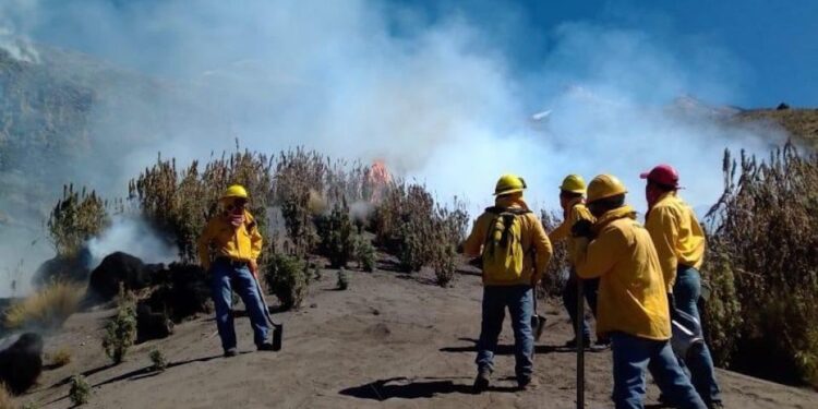 Fogata provocó incendio en el Parque Nacional Iztaccíhuatl-Popocatépetl