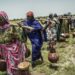 Nuevos enfrentamientos entre agricultores y pastores cobran 16 fallecidos en el sureste de Chad