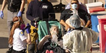 Identifican dos nuevas variantes de coronavirus en EU