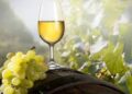 Vino verde: todo lo que debes saber sobre esta fresca bebida