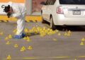 Países con mayores tasas de homicidios; México, entre ellos