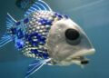 Desarrollan “peces robot’’ para monitoreo de océanos