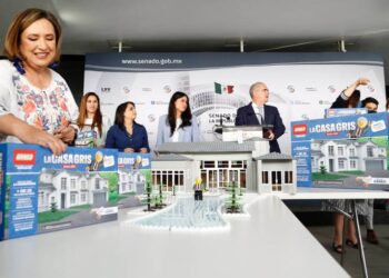 José Ramón López Beltrán comprará ‘Casa Gris’ de legos para su hijo de 2 años