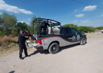 Realizan acciones de búsqueda para localizar a Nayeli quien se encuentra desaparecida